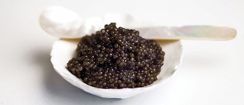 خاویار بلوگا پرورشی با دانه های درشت و طعم اصیل